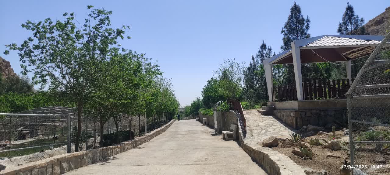 بازدید فرزندان ایتام قم از باغ پرندگان